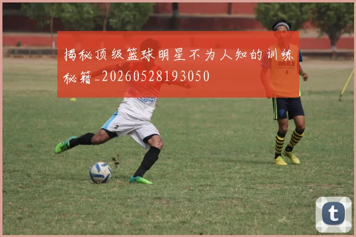 揭秘顶级篮球明星不为人知的训练秘籍_20260528193050