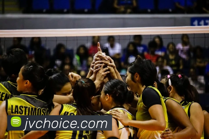 华体会体育APP 封面图